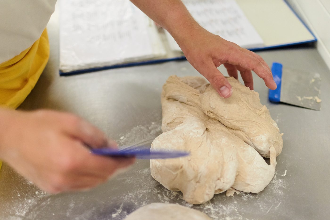 Eine Teigmasse wird auf dem mit Mehl bepuderten Arbeitstisch von Hand geknetet